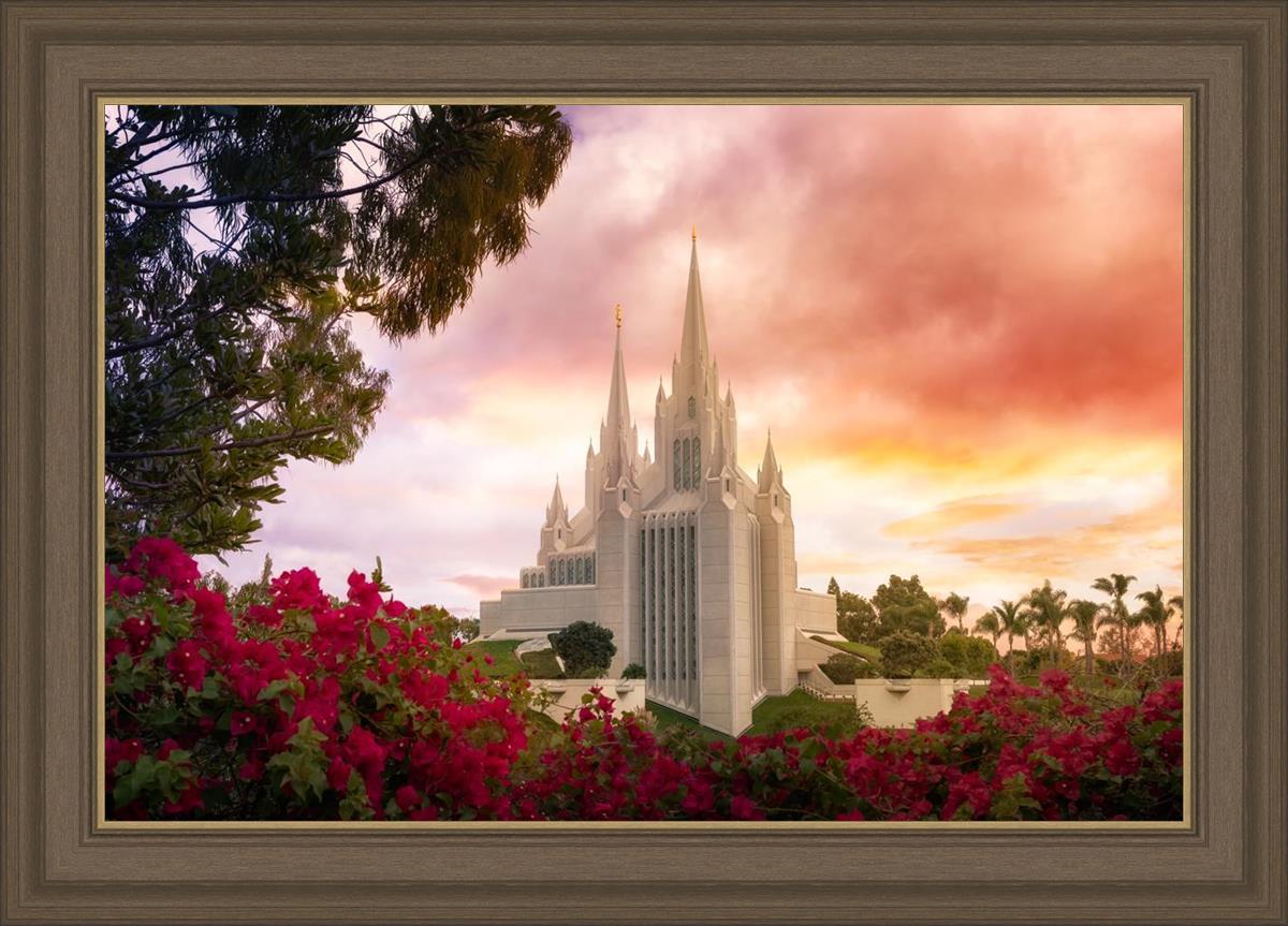San Diego Flowers