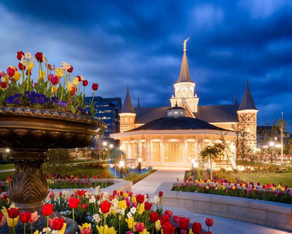 Provo City Center - April Showers Bring May Flowers