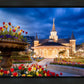 Provo City Center - April Showers Bring May Flowers
