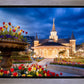 Provo City Center - April Showers Bring May Flowers