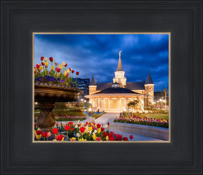 Provo City Center - April Showers Bring May Flowers