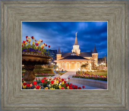 Provo City Center - April Showers Bring May Flowers