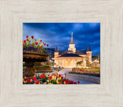 Provo City Center - April Showers Bring May Flowers