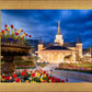 Provo City Center - April Showers Bring May Flowers