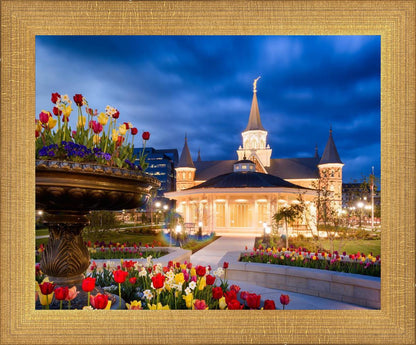 Provo City Center - April Showers Bring May Flowers