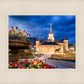 Provo City Center - April Showers Bring May Flowers