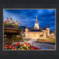 Provo City Center - April Showers Bring May Flowers