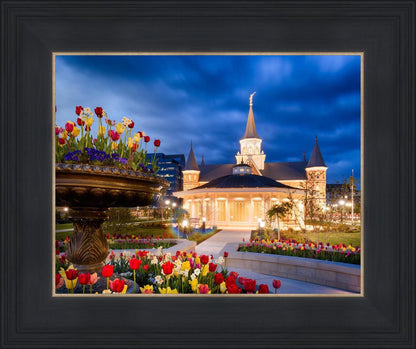 Provo City Center - April Showers Bring May Flowers