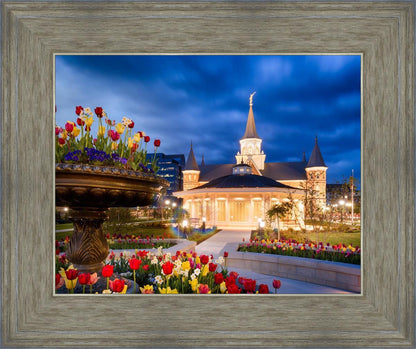 Provo City Center - April Showers Bring May Flowers