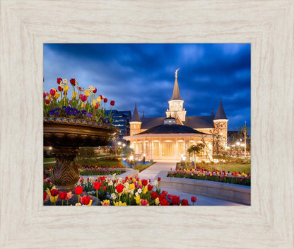 Provo City Center - April Showers Bring May Flowers