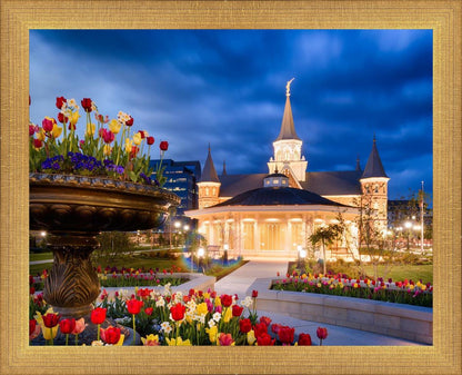 Provo City Center - April Showers Bring May Flowers