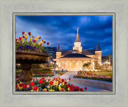 Provo City Center - April Showers Bring May Flowers
