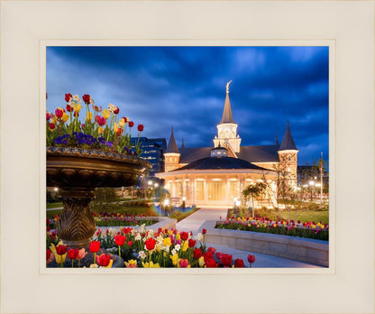 Provo City Center - April Showers Bring May Flowers