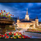 Provo City Center - April Showers Bring May Flowers