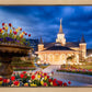Provo City Center - April Showers Bring May Flowers