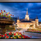 Provo City Center - April Showers Bring May Flowers