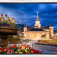 Provo City Center - April Showers Bring May Flowers