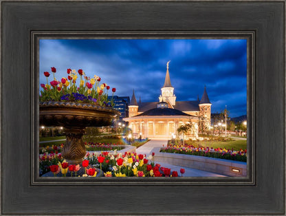 Provo City Center - April Showers Bring May Flowers