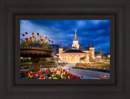Provo City Center - April Showers Bring May Flowers