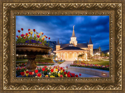 Provo City Center - April Showers Bring May Flowers