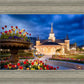 Provo City Center - April Showers Bring May Flowers