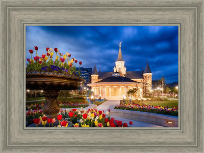 Provo City Center - April Showers Bring May Flowers