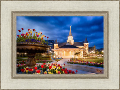Provo City Center - April Showers Bring May Flowers