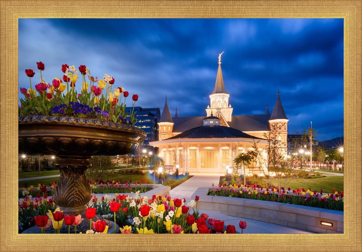 Provo City Center - April Showers Bring May Flowers