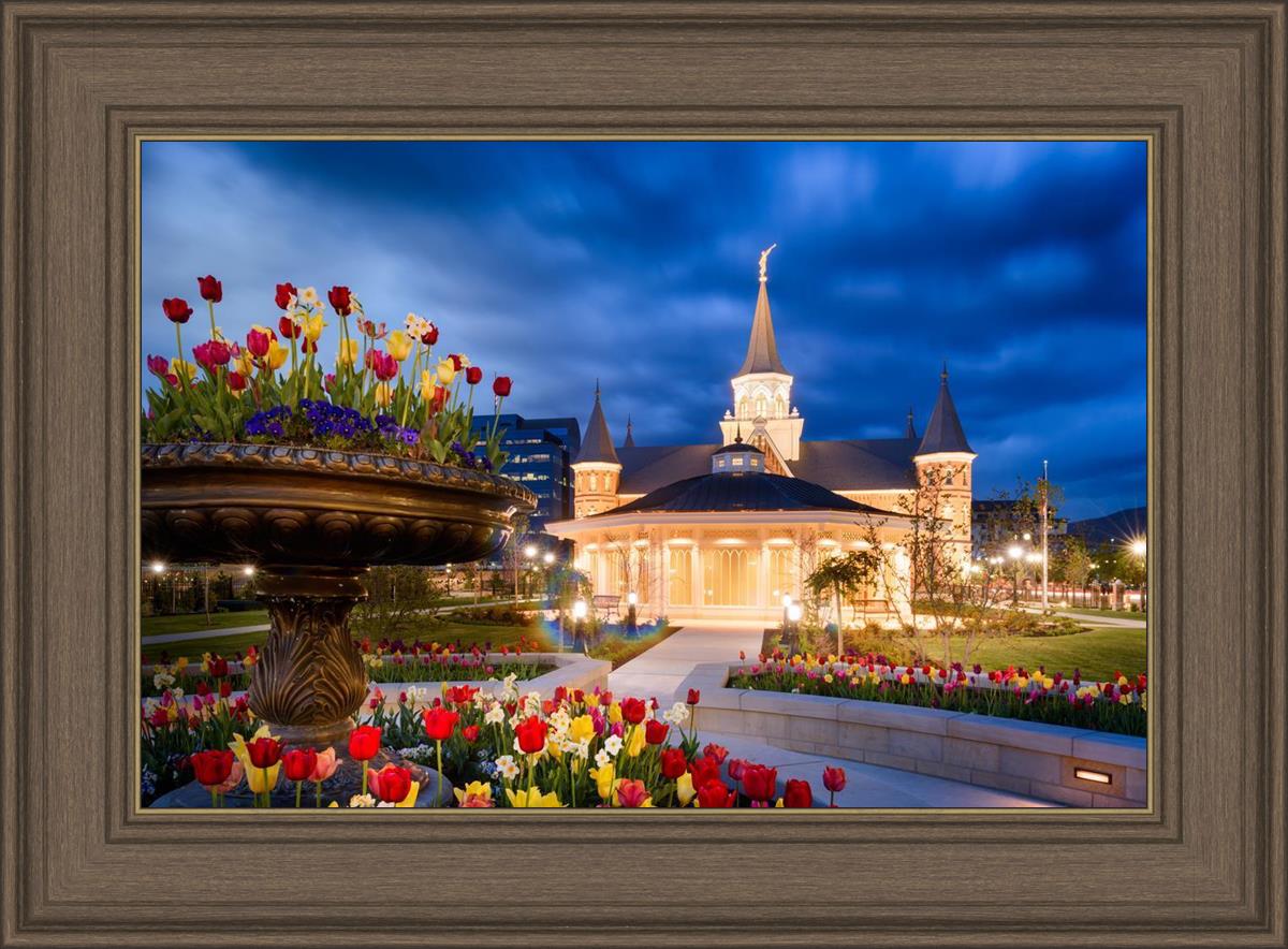 Provo City Center - April Showers Bring May Flowers