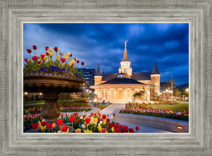 Provo City Center - April Showers Bring May Flowers