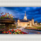 Provo City Center - April Showers Bring May Flowers