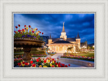 Provo City Center - April Showers Bring May Flowers