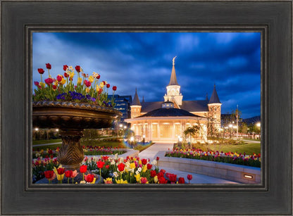 Provo City Center - April Showers Bring May Flowers