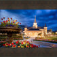 Provo City Center - April Showers Bring May Flowers