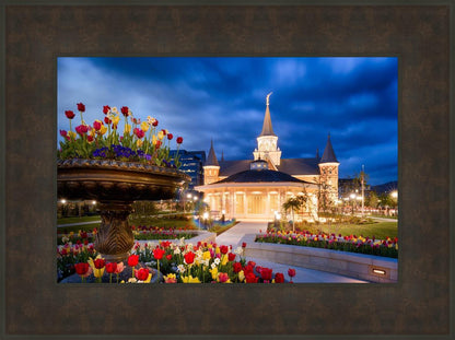Provo City Center - April Showers Bring May Flowers