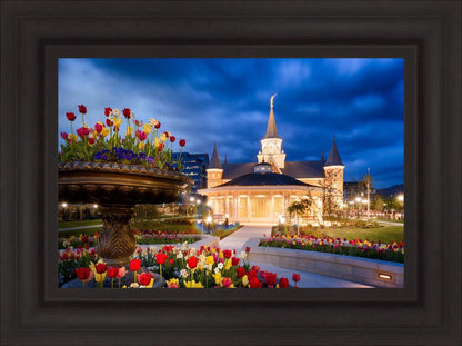 Provo City Center - April Showers Bring May Flowers