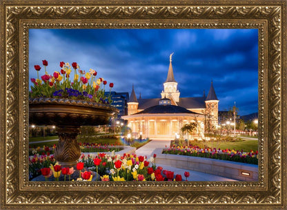 Provo City Center - April Showers Bring May Flowers