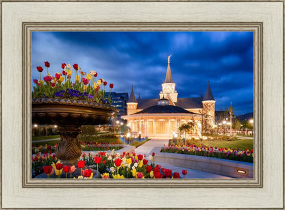 Provo City Center - April Showers Bring May Flowers