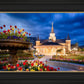 Provo City Center - April Showers Bring May Flowers