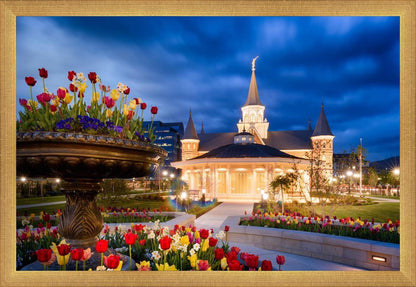 Provo City Center - April Showers Bring May Flowers