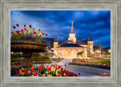 Provo City Center - April Showers Bring May Flowers