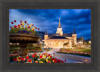 Provo City Center - April Showers Bring May Flowers