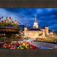 Provo City Center - April Showers Bring May Flowers
