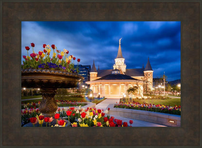 Provo City Center - April Showers Bring May Flowers