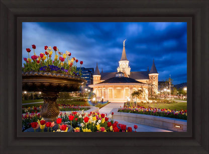 Provo City Center - April Showers Bring May Flowers