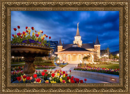 Provo City Center - April Showers Bring May Flowers