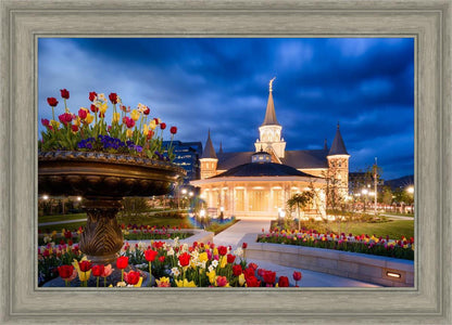 Provo City Center - April Showers Bring May Flowers