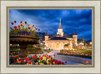 Provo City Center - April Showers Bring May Flowers