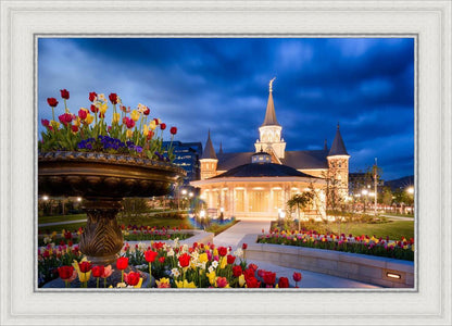 Provo City Center - April Showers Bring May Flowers