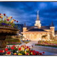 Provo City Center - April Showers Bring May Flowers
